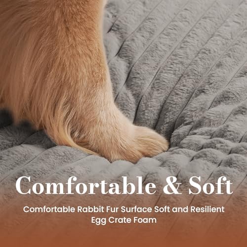 Medium Dog Bed Orthopedic Foam - Image 4
