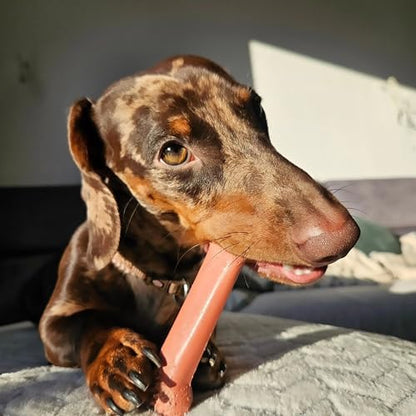 Nylabone Power Chew Classic Bone Chew Toy - Image 2