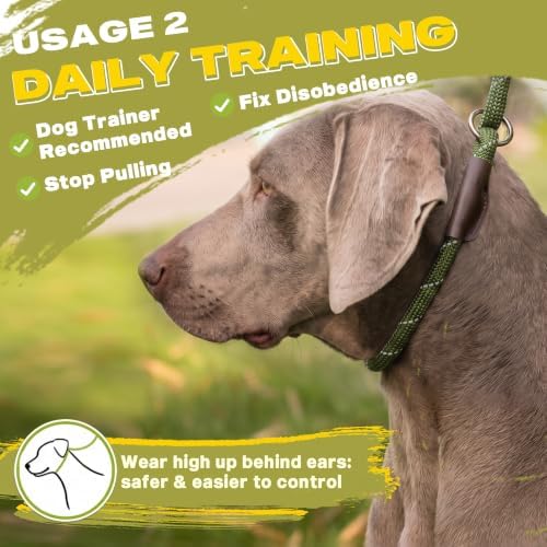 Fida Slip Lead Dog Leash 5 Pack, 6 FT x 1/2" Dog Training Leash - Image 5