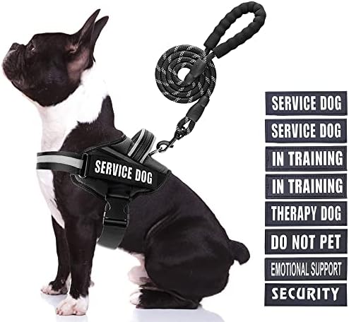 Service Dog Vest Harness and Leash Set, Animire in Training Dog Harness by Animire