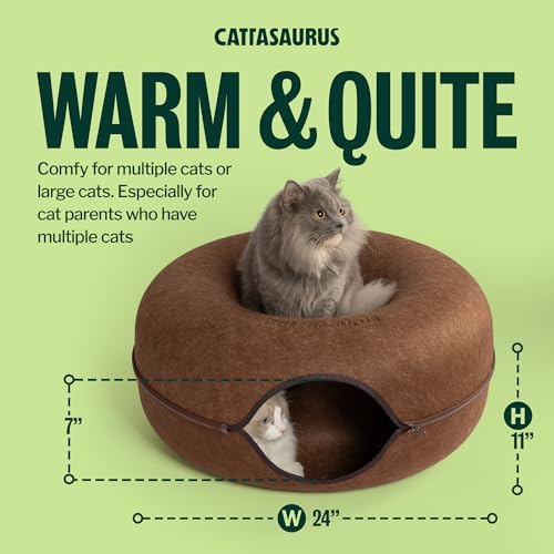 Cattasaurus Peekaboo Cat Cave Donut - Image 3