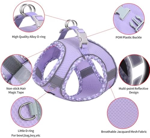 AIITLE Step in Dog Harness & Leash Set - Image 5