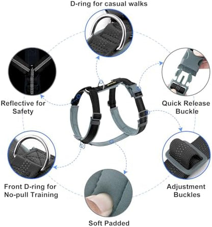 Plutus Pet No Pull Dog Harness, Adjustable Nylon Harness - Image 2