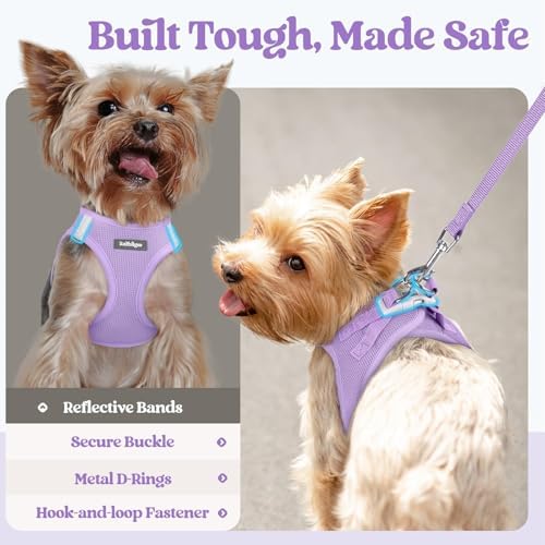 rabbitgoo Dog Harness Medium Sized and Leash Set, Step-in Puppy Pet Vest - Image 4