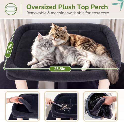 Globlazer Heavy Duty Cat Tree for Large Cats, 25.5in Wide Top Perch - Image 3