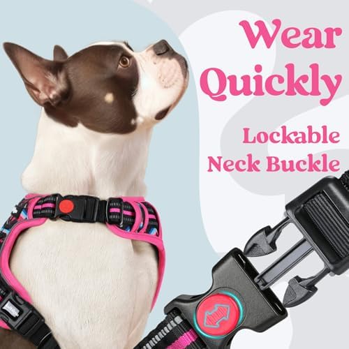 rabbitgoo Dog Harness for Large, Updated Easy On & Off - Image 3