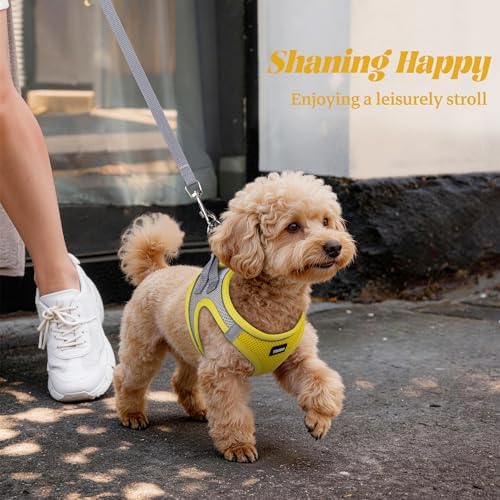 No Pull Dog Puppy Harness and Leash Set Reflective Mesh Vest Medium - Image 6