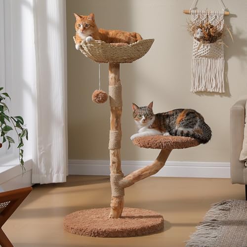 MUTTROS Modern Wood Cat Tree by MUTTROS