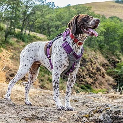 Kurgo Journey Air Dog Harness - Image 2