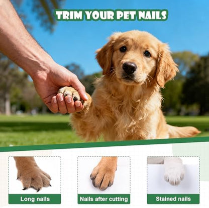 Dog Nail Grinder & Clipper - Image 5