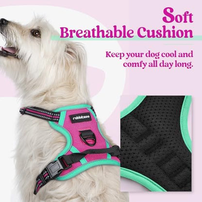 rabbitgoo Dog Harness, No Pull for Small Dogs - Image 2