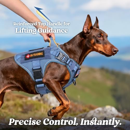 rabbitgoo Tactical Dog Harness for Small, Heavy Duty Military No Pull Vest - Image 2