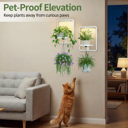 LASZOLA Plant Picture Frame Holder Shelf Wall - Image 7