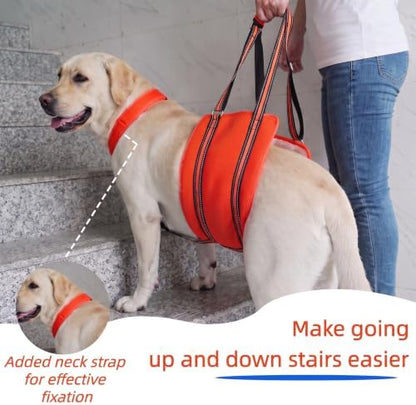 PAWsay Adjustable Dog Sling for Medium Dog Hind Leg Support - Image 2