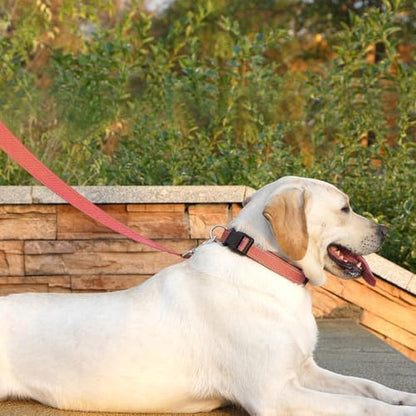 6 FT Basic Dog Leash for Medium Dogs - Image 2