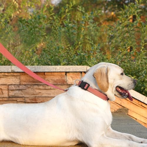 6 FT Basic Dog Leash for Small Dogs - Image 2