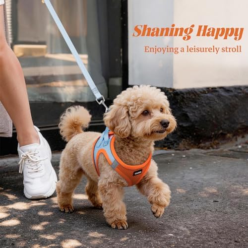 No Pull Dog Puppy Harness and Leash Set Reflective Mesh Vest Small - Image 6