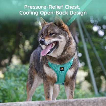 BELLA & PAL Adjustable Step-in Dog Harness, Puppy No-Pull Vest - Image 6