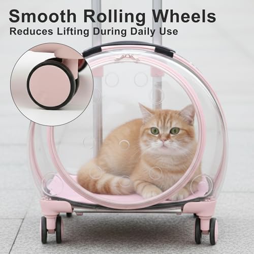 Transparent Hard Shell Cat Carrier - Image 4