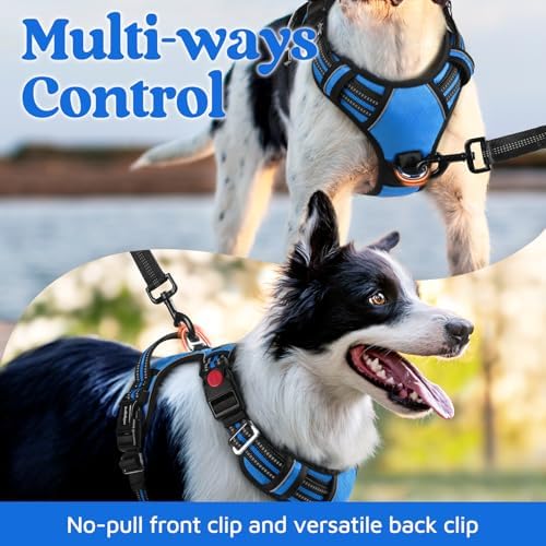 rabbitgoo Dog Harness for Large, No Pull 3 Buckles Easy On & Off - Image 3