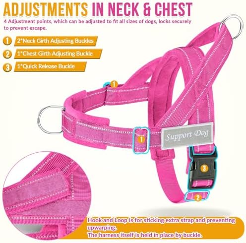 SlowTon No Pull Dog Harness and Leash Set - Image 5