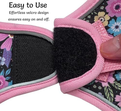 Mihqy Step in Dog Harness and Leash Set, Breathable Mesh - Image 5
