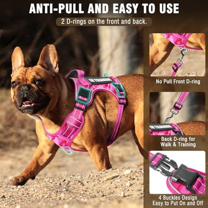 Tactical Service Dog Vest and Leash Set - Image 3