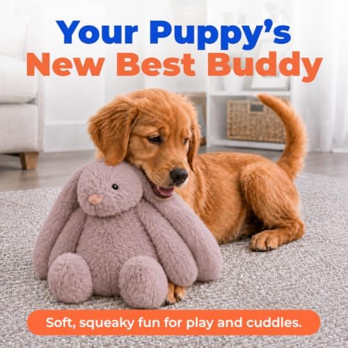 Best Pet Supplies Bunny Buddy Squeaky Plush Dog Toy - Image 2