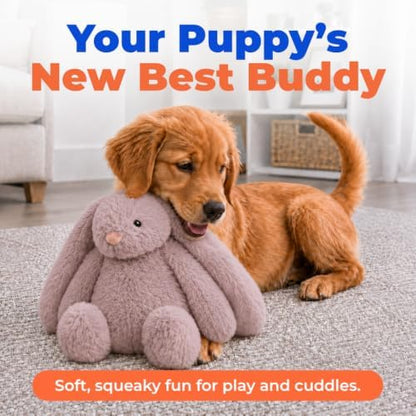 Best Pet Supplies Bunny Buddy Squeaky Plush Dog Toy - Image 2