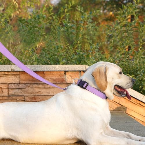6 FT Basic Dog Leash for Small Dogs - Image 2