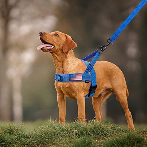 Annchwool No Pull Dog Harness - Image 6