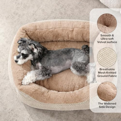 INVENHO Small Dog Bed for Small Dogs, Orthopedic Warming Soft Calming Sleeping - Image 2