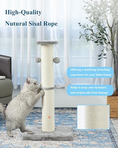 34Inch Tall Cat Scratching Post - Image 5