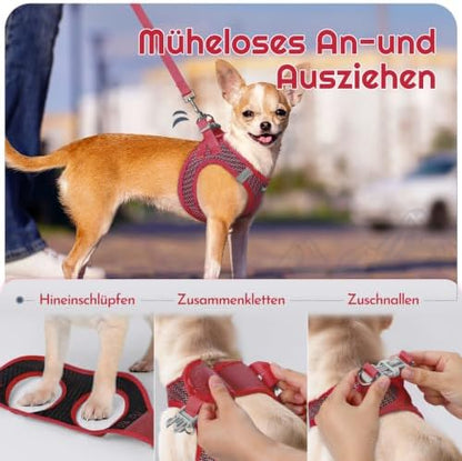 Eagloo Small Dog Harness and Leash Set, Step in Medium Small Puppy Pet Vest - Image 3