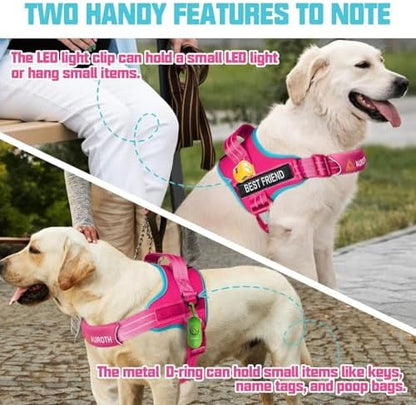 AUROTH Dog Harness and Leash Set - Image 2