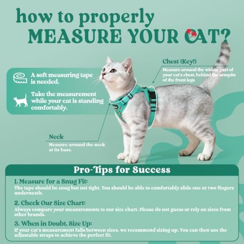 rabbitgoo Cat Harness and Leash Set, Escape Proof Vest, Cherry Grove - Image 2