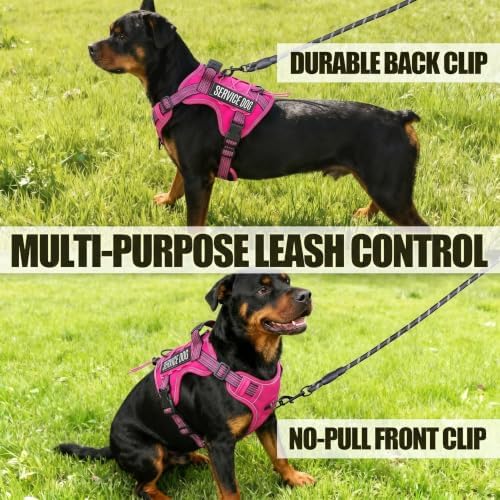 Dog Harness and Leash Set for Medium Dogs, No Pull Tactical Dog Harness - Image 6