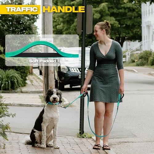 Fida 10 FT Heavy Duty Dog Leash, Dual Padded Handles - Image 4