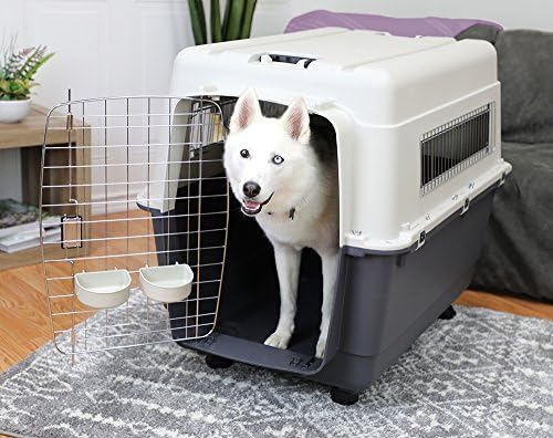 SportPet Designs Plastic Kennels Rolling Plastic Wire Door Travel Dog Crate- - Image 5