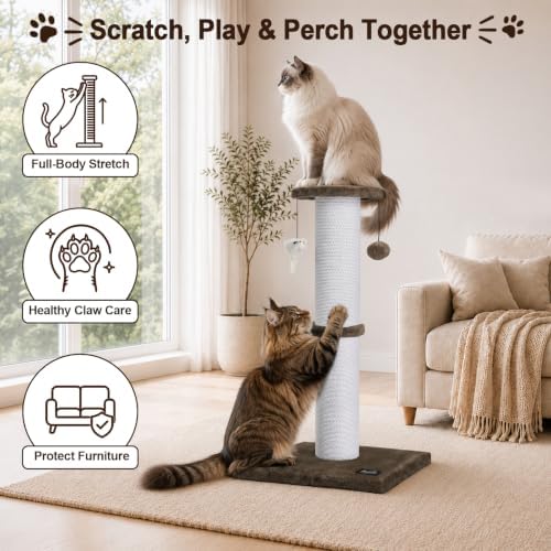 34-Inch Tall Cat Scratching Post - Image 3
