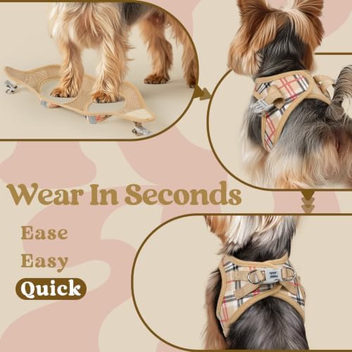 rabbitgoo Step-in Small Dog Harness, Puppy Vest - Image 6