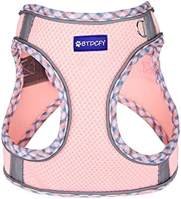 Step in Mesh Dog Harness and Leash Set Breathable Air Mesh Harness - Image 3
