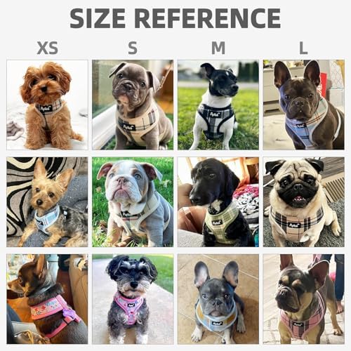 PUPTECK Small Dog Harness and Leash Set No Pull - Image 2