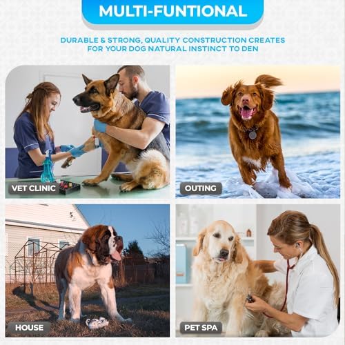 FDW | 42" Foldable Metal Dog Crate | Blue | Cage - Image 3