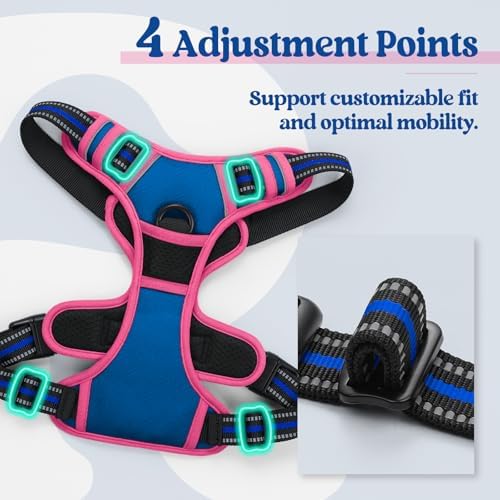 rabbitgoo Dog Harness, No Pull for Large Dogs - Image 4