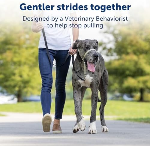 PetSafe Gentle Leader No-Pull Dog Headcollar - Image 2