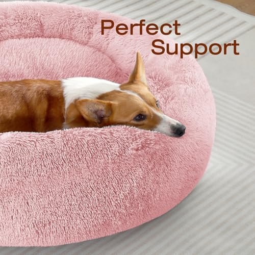 JOLLYVOGUE Dog & Cat Bed, Calming Anti-Anxiety Pet Bed - Image 2