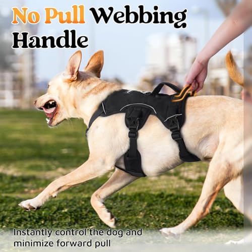 rabbitgoo Escape Proof Dog Harness - Image 4