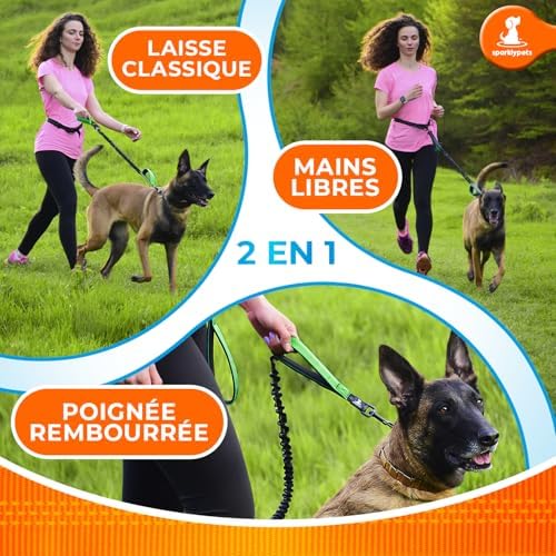 SparklyPets Hands Free Dog Leash, Medium & Large Breeds - Image 6
