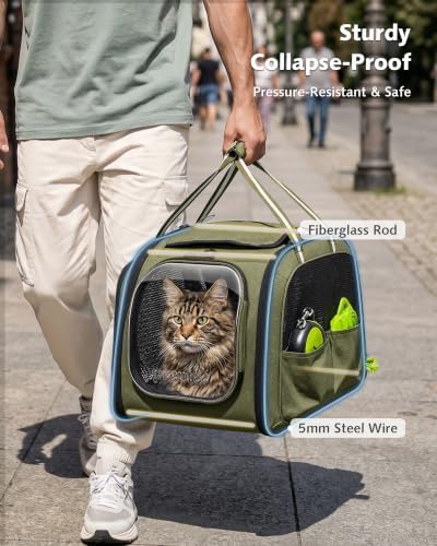 Pecute Cat Carrier, Double Bubble Pet Carrier - Image 4